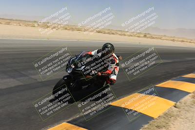 media/May-13-2023-SoCal Trackdays (Sat) [[8a473a8fd1]]/Turn 15 Inside (1220pm)/